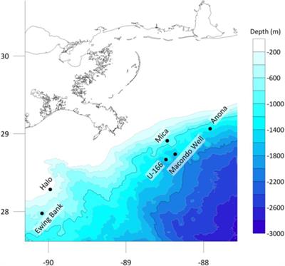 Deep-Sea Biofilms, Historic Shipwreck Preservation and the Deepwater Horizon Spill